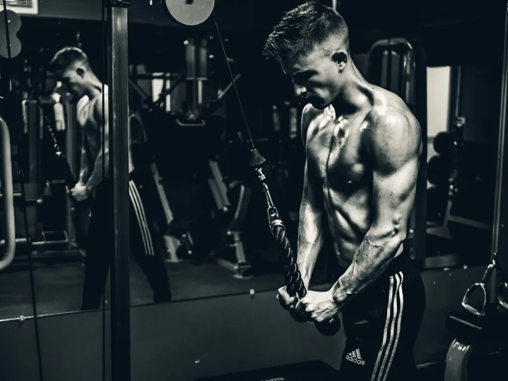 Workout Routine to Get Shredded