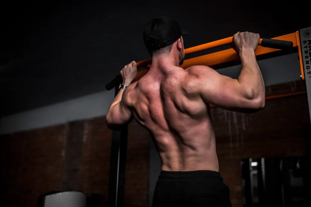 dumbbell back exercises